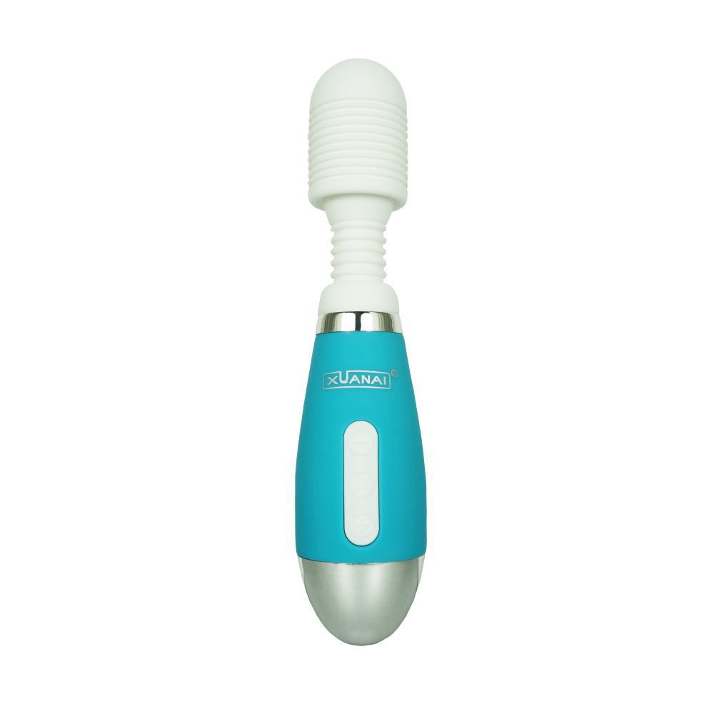 8204 Denma Massager - Blue