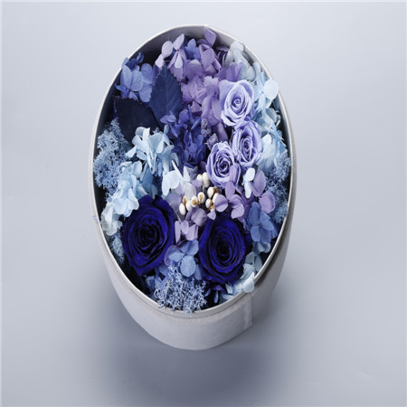 Big round box blue