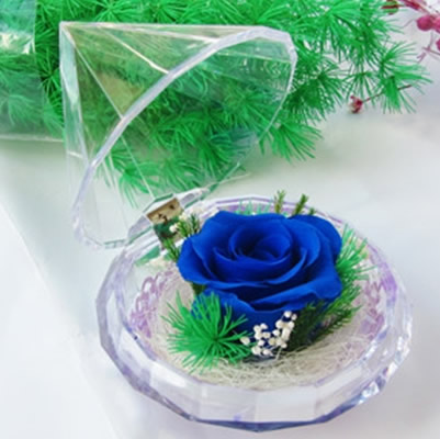 Preservation of flowers Diamonds