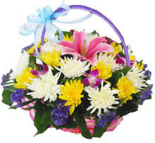 Qingming Festival Flower Blue