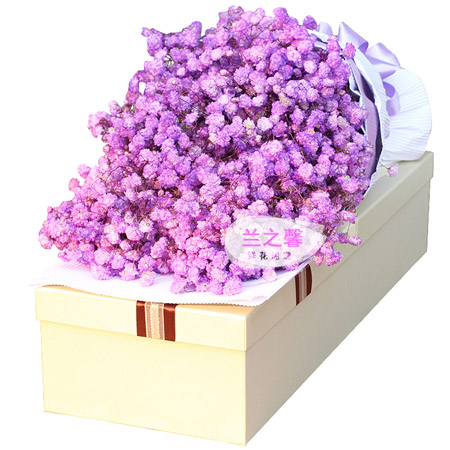Purple Romance