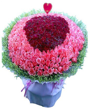 365 Love you every day
