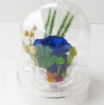 Preservation of flowers Golden bell cover