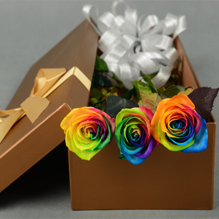 Rainbow Rose-Eternal