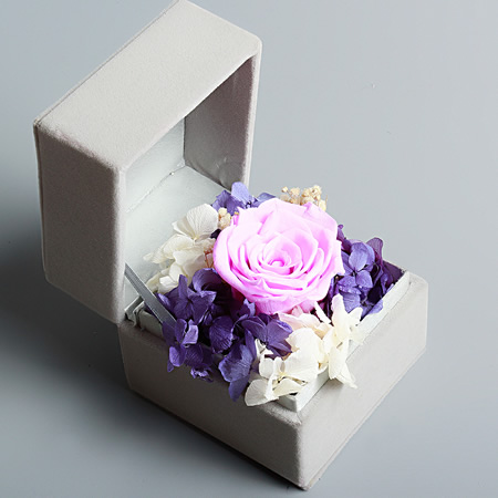 Small box collection Pink