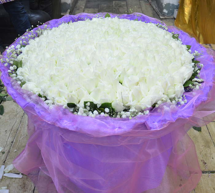 White Love