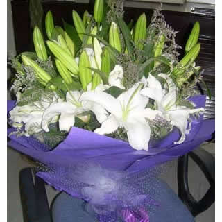 Flowers are in full bloom