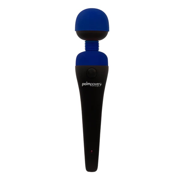Recharge Massager - Blue