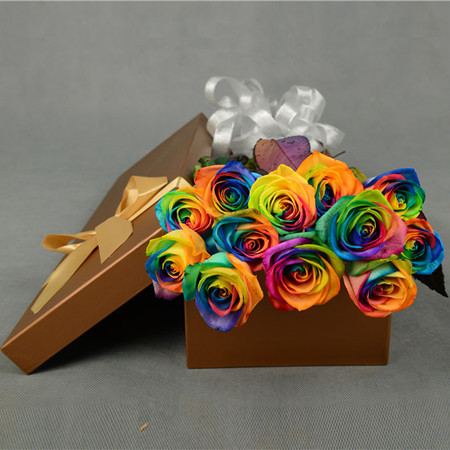 Rainbow Rose-Colorful