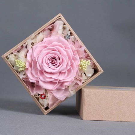 Immortal Flower Single Pink Rose