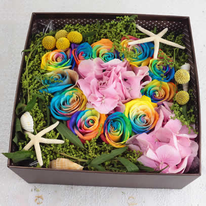 Rainbow Rose Enjoys a Lifetime