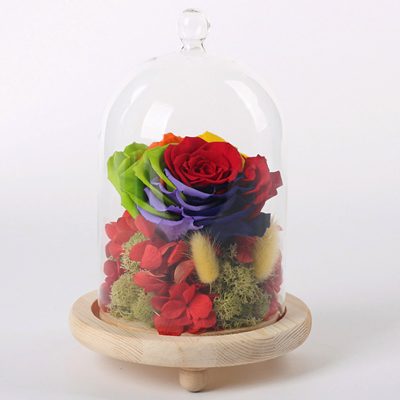 Glass-covered rainbow flowers Red hydrangea
