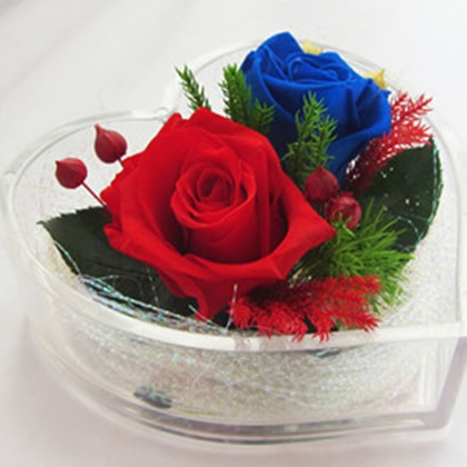 Preserve flowers Love box two flowers