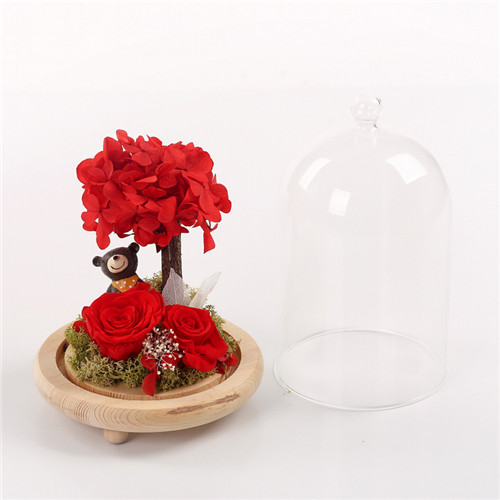Flower preservation glass cover resin bear red