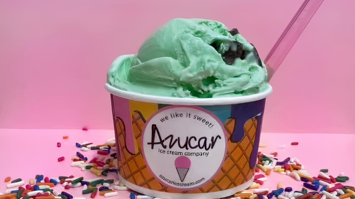 Mint Chocolate Chip (16 Oz)