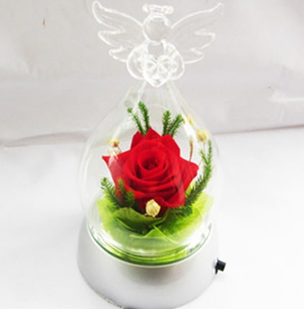 Preserve flowers Angel bottle