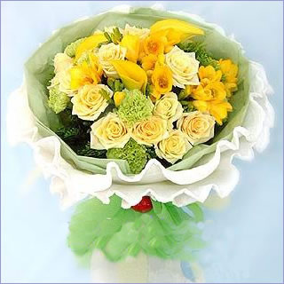 Bloom for love