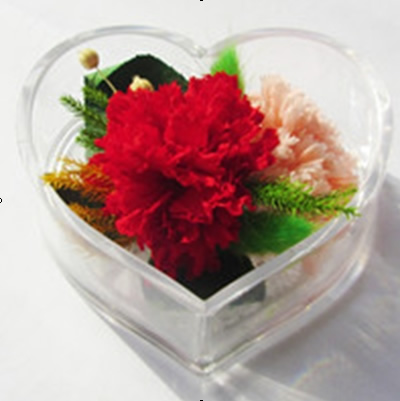 Preservation flowers Carnation two flowers