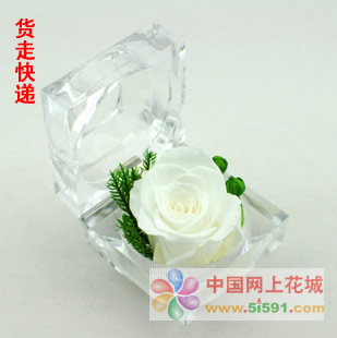 Ring box preserved flowers-White Rose