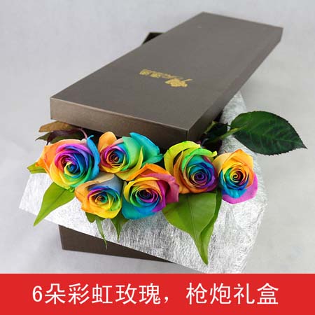 Rainbow Rose-6 packs