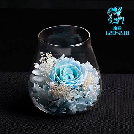 Preserve flowers Aquarius