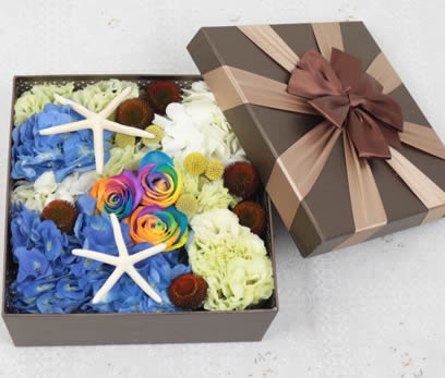 Rainbow Rose Perfect Love
