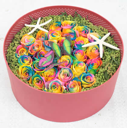 Rainbow Rose Original Love