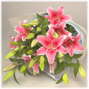 Friendship flowers bloom