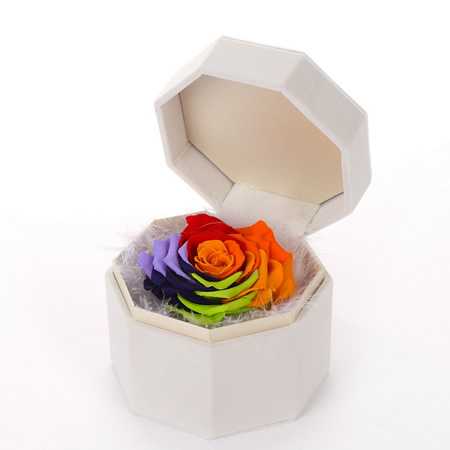Preserve flowers Single colorful