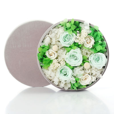 Round velvet gift box Green