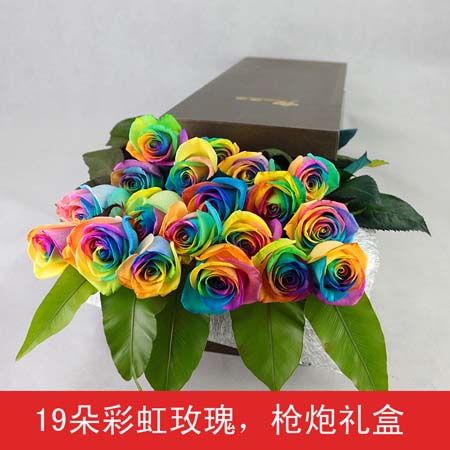 Rainbow Rose-19 packages