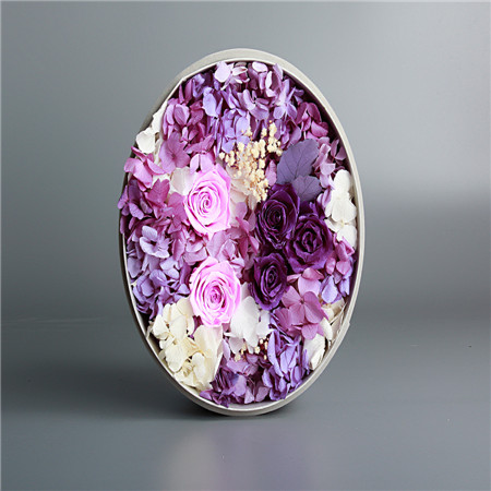 Big round box purple