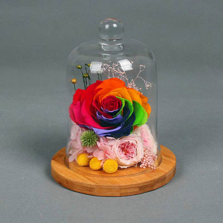 Immortal Flower Single Rainbow Rose