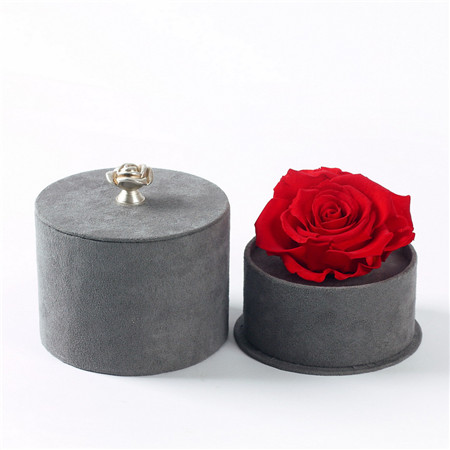 Grey box red rose