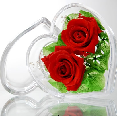 Preserve flowers Two flowers