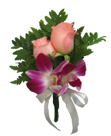 Orchid rose bristle