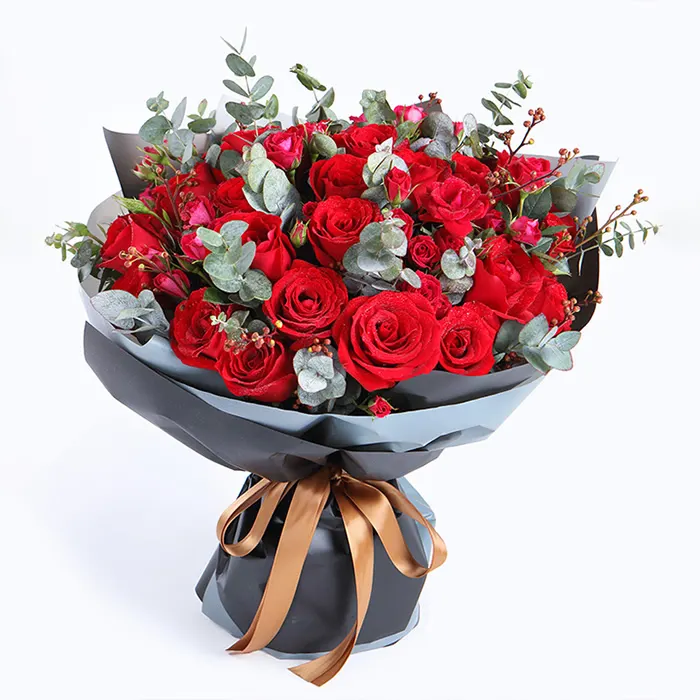 Happy Valentine's Day