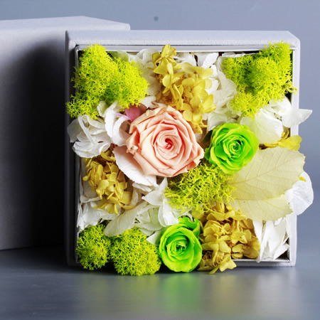 Preserve flowers BX134
