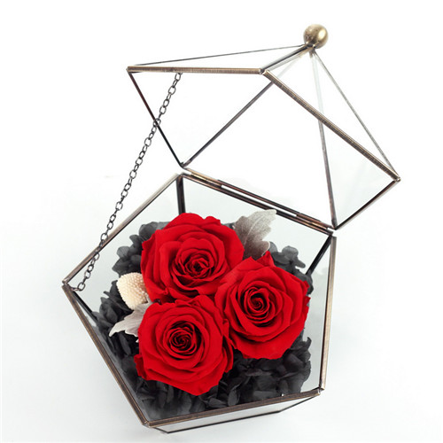 Preserve flowers five-star glass flower room red