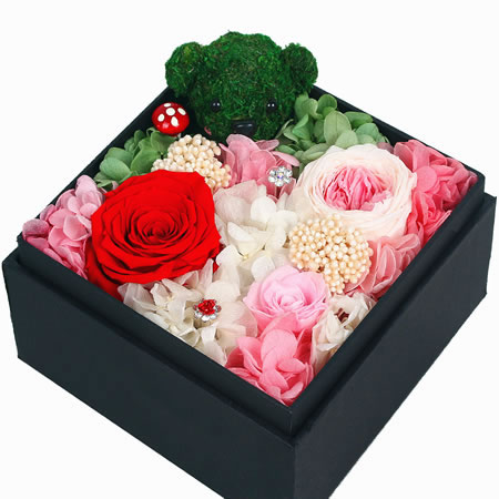 Preserve flowers, love for eternal life