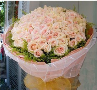 I have only you in my heart