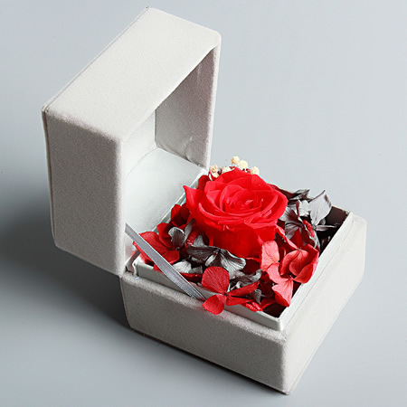 Small box collection Red
