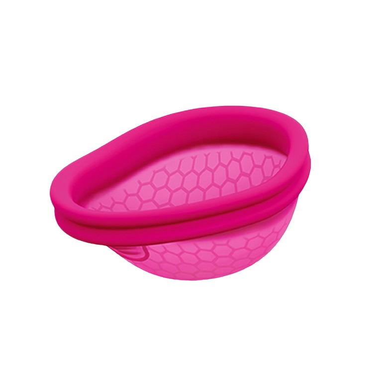 Ziggy Cup 2 Size B