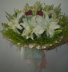 Lily
