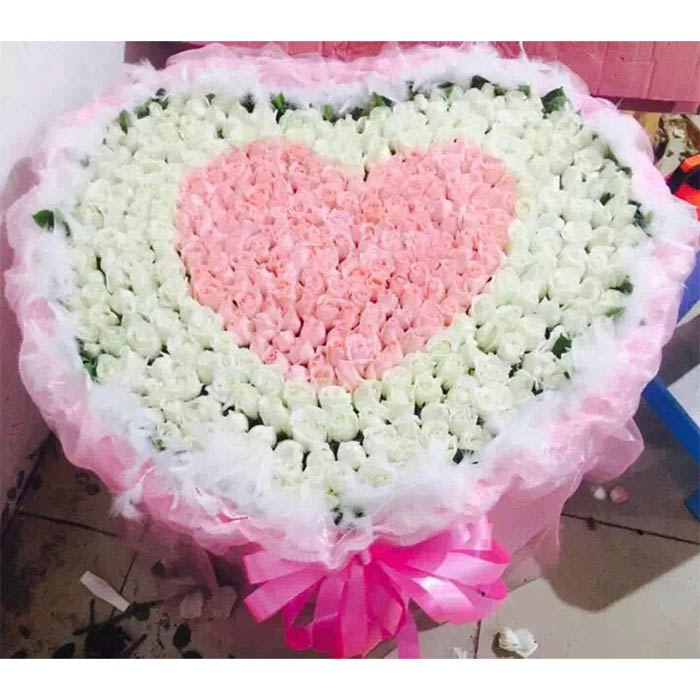 Whole heart