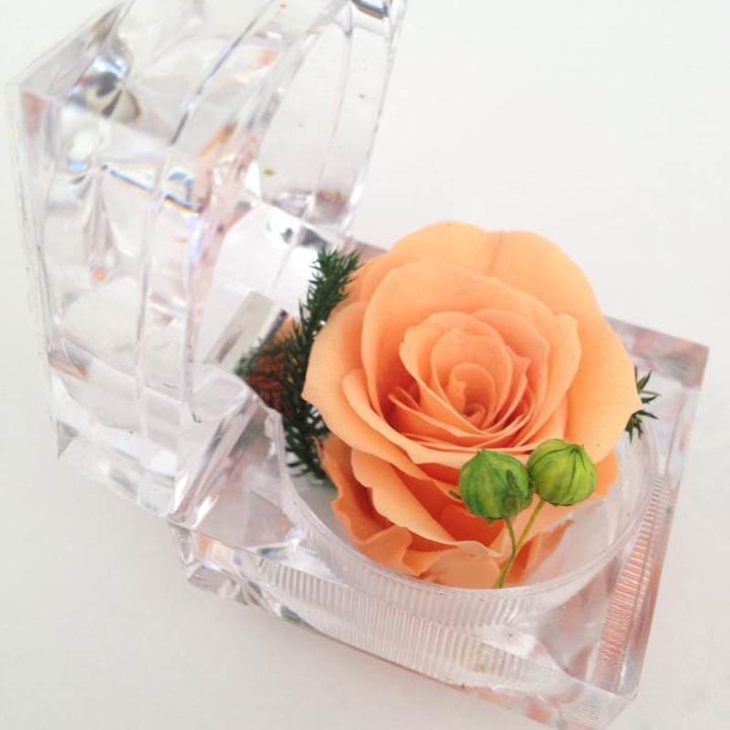 Ring box preserved flowers-Champagne rose