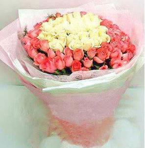 Love Youyou