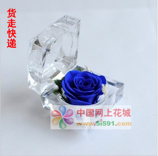 Ring box preserved flowers-Blue Rose