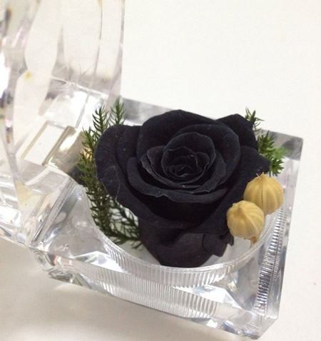 Ring box preserved flowers-Black Rose
