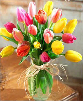 Charming spring scenery